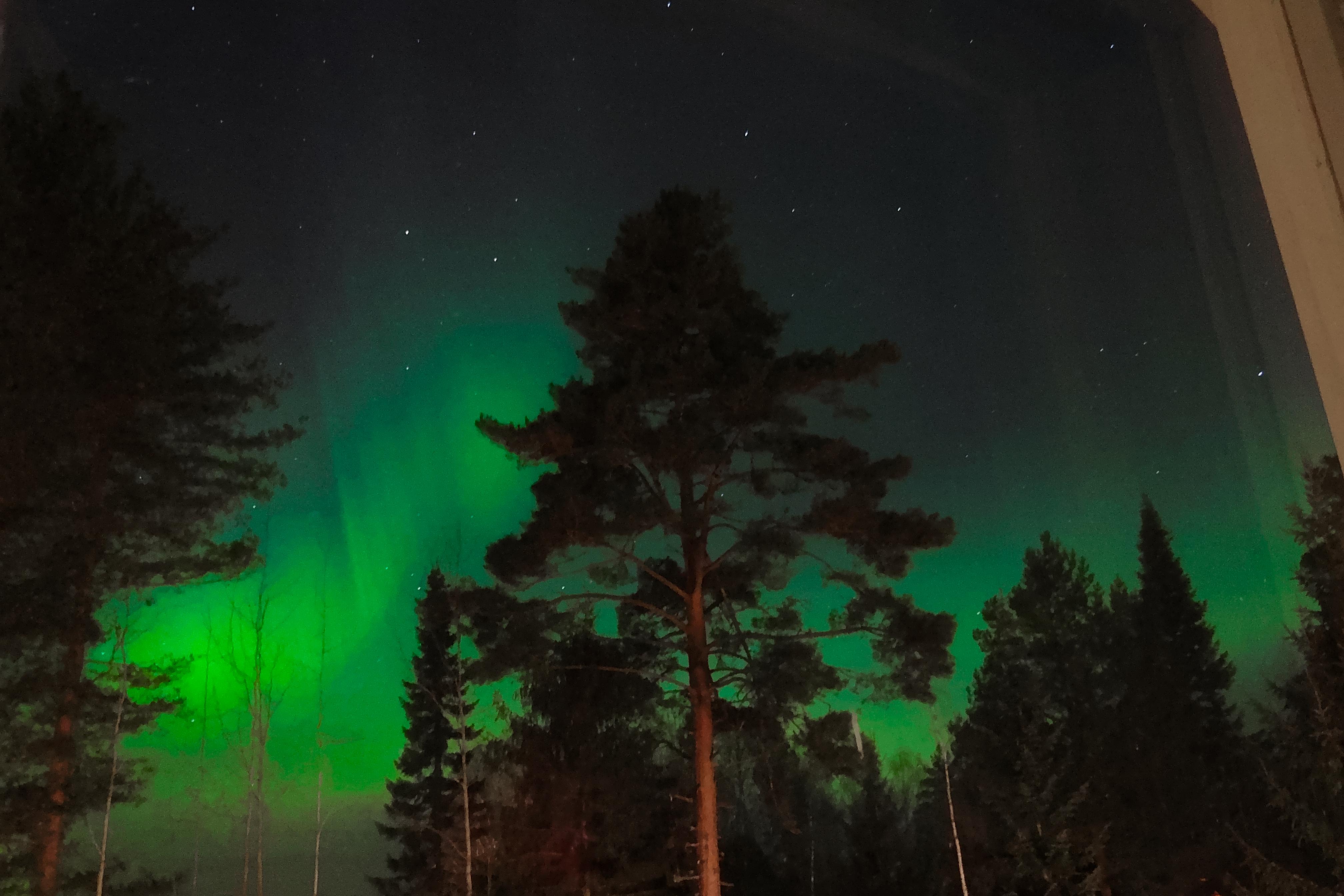 Northern lights